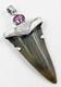 Fossil Shark Tooth Pendant Megalodon, With Sterling Silver Cap And Amethyst