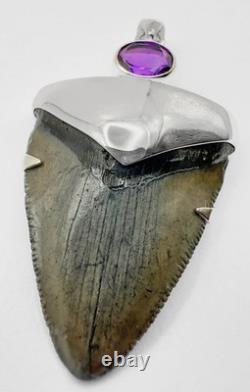 Fossil Shark Tooth Pendant Megalodon, with Sterling Silver Cap and Amethyst