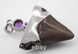 Fossil Shark Tooth Pendant Megalodon, with Sterling Silver Cap and Amethyst