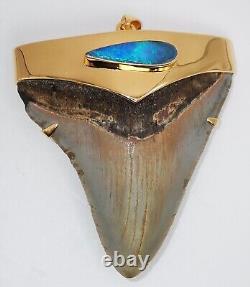 Fossil Shark's Tooth Pendant, Megalodon 24 Karat Gold Plate Over 925 Silver Cap