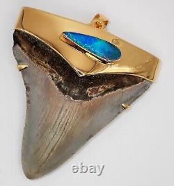 Fossil Shark's Tooth Pendant, Megalodon 24 Karat Gold Plate Over 925 Silver Cap