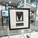 Framed 3-5/8 Megalodon Shark Tooth Fossil Polished Nc Diver Find