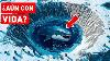 Frozen Megalodon Found In Antarctica Scientists Fear It Might Still Be Alive