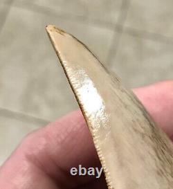 GORGEOUS-BITTEN-3.93 x 2.76 Indonesian Megalodon Shark tooth Fossil-SEE PICS