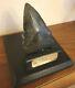 Genuine 10cm Megalodon Fossil Shark Tooth And Stand 100% Natural