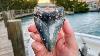 Giant Megalodon Shark Tooth Found In The Ocean Scuba Diving