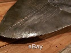 Gigantic Natural Megalodon Tooth 6+ Serrated