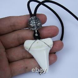 Great White Shark Tooth Necklace 1.8 inch Silver Real Megalodon Surfer Pendant