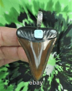 Great White Sharks Tooth Pendant BEAUTY! / fossil sharks teeth/megalodon