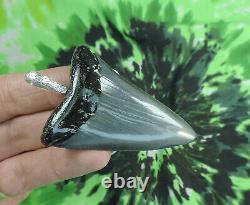 Great White Sharks Tooth Pendant NICE! / fossil sharks teeth/megalodon