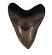 High Quality, Big 6-5/16 Megalodon Upper Jaw Principal Anterior Tooth From Sc