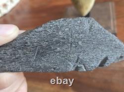 HUGE 5.42 Real MEGALODON Shark Tooth with Display Stand & BONUS FOSSIL! RARE! WOW