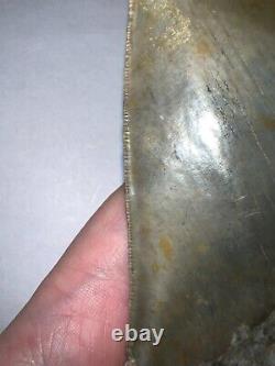 HUGE MEGALODON Fossil Shark Tooth! 4.8 INCHES! NO REPAIR! INCREDIBLE SERRATIONS