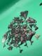 Huge Shark Tooth Lot Including Real Megalodon Teeth Venice Florida