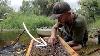 How To Find Shark Teeth In Florida Creeks Fossil Hunting And The Search For Megelodon