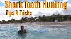 How To Find Thousands Of Fossilized Shark Teeth Shark Tooth Hunting Sifting Venice Caspersen Beach