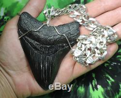 Huge 3 3/4'' Megalodon Sharks Tooth Necklace! Sterling Selver Chain No Repairs