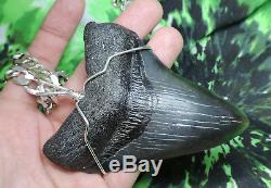Huge 3 3/4'' Megalodon Sharks Tooth Necklace! Sterling Selver Chain No Repairs