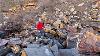 Huge Landslide Fossil Hunting Reptile Bones Crinoid Fish Ammonites And More