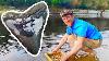 Hunting Megalodon Shark Teeth Fossil Hunting In North Carolina Rockhounding Near Me