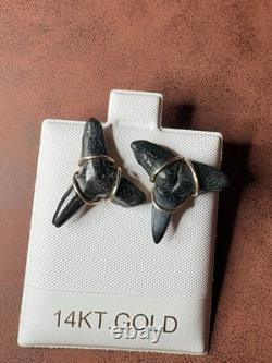 ITALIAN 14k YELLOW GOLD MEGALODON SHARK TOOTH FOSSIL EARRINGS STUD 2.90G 20mm