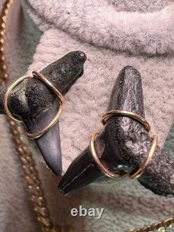 ITALIAN 14k YELLOW GOLD MEGALODON SHARK TOOTH FOSSIL EARRINGS STUD 2.90G 20mm