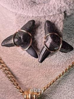 ITALIAN 14k YELLOW GOLD MEGALODON SHARK TOOTH FOSSIL EARRINGS STUD 2.90G 20mm