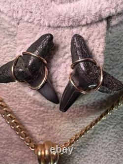ITALIAN 14k YELLOW GOLD MEGALODON SHARK TOOTH FOSSIL EARRINGS STUD 2.90G 20mm