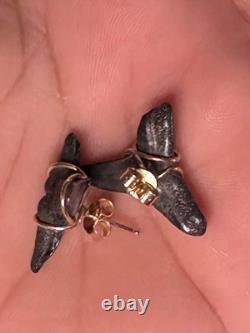 ITALIAN 14k YELLOW GOLD MEGALODON SHARK TOOTH FOSSIL EARRINGS STUD 2.90G 20mm