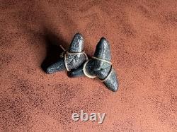 ITALIAN 14k YELLOW GOLD MEGALODON SHARK TOOTH FOSSIL EARRINGS STUD 2.90G 20mm