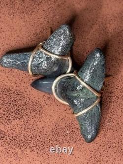 ITALIAN 14k YELLOW GOLD MEGALODON SHARK TOOTH FOSSIL EARRINGS STUD 2.90G 20mm