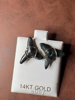 ITALIAN 14k YELLOW GOLD MEGALODON SHARK TOOTH FOSSIL EARRINGS STUD 2.90G 20mm