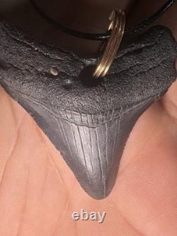 ITALIAN 14k YELLOW GOLD MEGALODON SHARK TOOTH FOSSIL PENDANT 15.73G