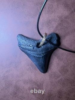 ITALIAN 14k YELLOW GOLD MEGALODON SHARK TOOTH FOSSIL PENDANT 15.73G