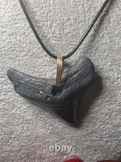 ITALIAN 14k YELLOW GOLD MEGALODON SHARK TOOTH FOSSIL PENDANT 15.73G