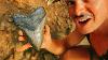 I Found A Giant Megalodon Tooth While Hunting For Shark Teeth