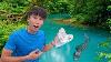 I Found A Megalodon Shark Tooth In A Dangerous Jungle
