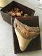 Jan Barboglio Box With Added Real Megalodon Fossilized Tooth