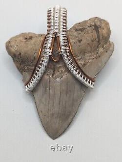 LARGE Megalodon Shark Tooth Pendant Charm Fossil, Wire Wrapped For Necklace