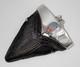 Large Fossil Meg Shark Tooth Pendant Megalodon Tooth With Sterling Silver Cap