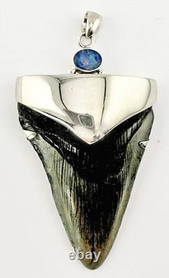 Large Fossil Meg Shark Tooth Pendant Megalodon Tooth with Sterling Silver Cap