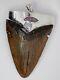 Large Fossil Meg Shark Tooth Pendant Megalodon Tooth With Sterling Silver Cap
