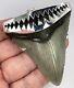 Large Fossil Meg Shark Tooth Pendant Megalodon Tooth With Sterling Silver Cap