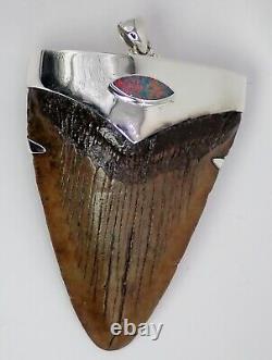 Large Fossil Meg Shark Tooth Pendant Megalodon Tooth with Sterling Silver Cap