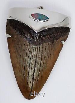 Large Fossil Meg Shark Tooth Pendant Megalodon Tooth with Sterling Silver Cap