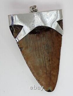 Large Fossil Meg Shark Tooth Pendant Megalodon Tooth with Sterling Silver Cap