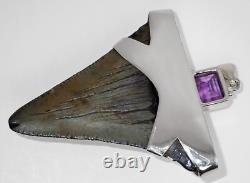 Large Fossil Shark Tooth Pendant Megalodon, with Sterling Silver Cap Meg Teeth