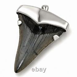 Large Megalodon Shark Tooth Pendant Megalodon Tooth with Sterling Silver Cap