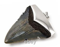Large Megalodon Shark Tooth Pendant Megalodon Tooth with Sterling Silver Cap