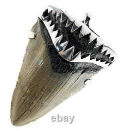 Large Megalodon Shark Tooth Pendant Megalodon Tooth with Sterling Silver Cap